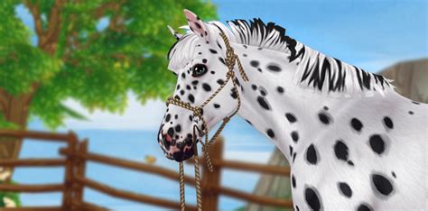 Named by white settlers after the Palouse River, the Appaloosa are descendents of the Spanish horses brought to the Americas. . Star stable appaloosa